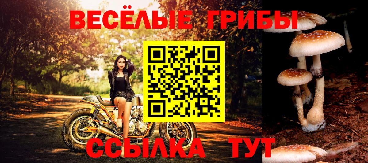 Галлюциногенные грибы прущие грибы  Вход с VPN  Ленинск-Кузнецкий  Псилоцибиновые грибы Magic Shrooms 