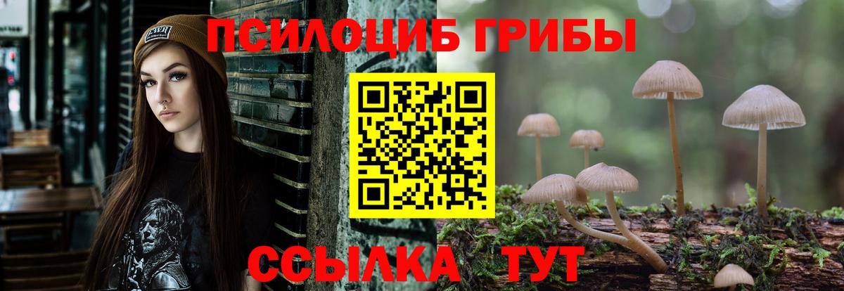 Псилоцибиновые грибы Cubensis Ленинск-Кузнецкий